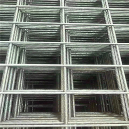 400丝黑丝电焊网片厂家-百鹏丝网(在线咨询)-电焊网