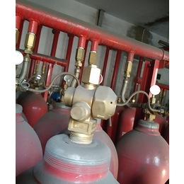 高压气体灭火系统安装-高压气体灭火系统-成安消防设备厂家