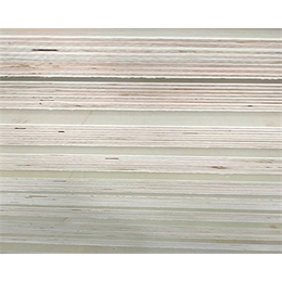 秦皇岛木工家具板-盈欣实木厚芯板-杉木木工家具板
