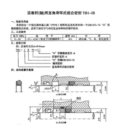 活塞杆轴用直角滑环式组合密封TB1-IB 轴用TB1-IA