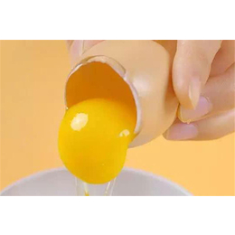 蛋液厂家-广东蛋液-新东方食品