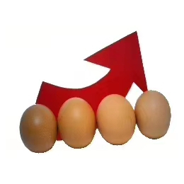 蛋鸡养殖管理中突然出现产蛋率下降是什么原因