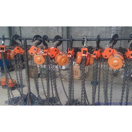 扬州油罐电动葫芦定制-起重机械加工厂