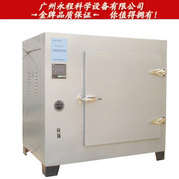 供应上海新苗 DHG-9143BS高温鼓风干燥箱 恒温烤箱