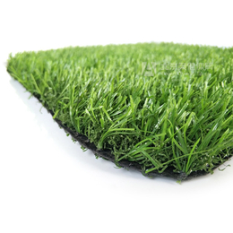 *园草坪_垫子假草绿色地毯_人造人工塑料草皮_户外学校施工缩略图