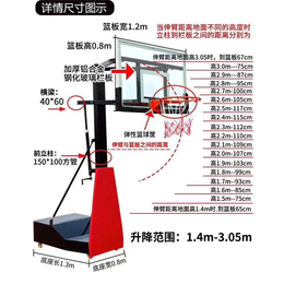 西安康特体育(图)-儿童篮球架批发-云南篮球架