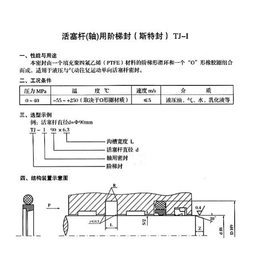 活塞杆轴用阶梯封TJ-I 斯特封