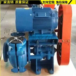 轻型渣浆泵-葫芦岛渣浆泵-安国冀龙泵业(查看)