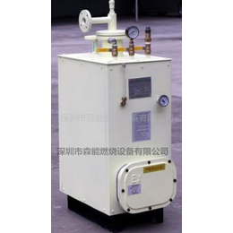 *LGP气化器50-200kgh气化炉防爆气化器