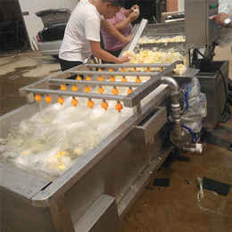 柑橘清洗机规格型号-周宁柑橘清洗机-汇康食品机械(查看)
