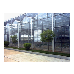 玻璃温室工程-包头玻璃温室-青州瑞青农林科技(查看)