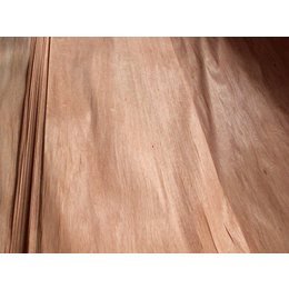 贵州红橄榄面皮价格-勇新科技木面皮厂-哪里有红橄榄面皮价格
