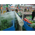 温州超市*保鲜加湿设备 zx-163型设备供应缩略图1