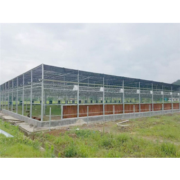 玻璃温室-青州瀚洋农业-智能玻璃温室
