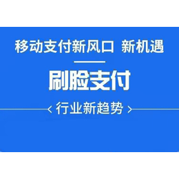 个人可以代理支付宝微信刷脸支付吗