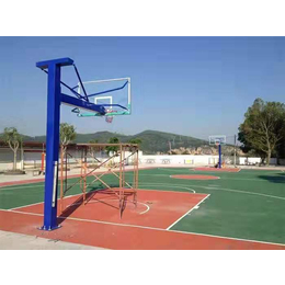 篮球架一般多少钱-株洲红枚体育器材(在线咨询)-篮球架