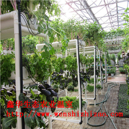 山东厂家* 草莓种植架 大棚无土栽培*水肥一体化设备