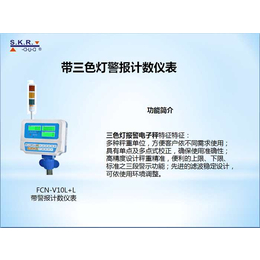 电子秤电池报警-电子秤定制厂家(在线咨询)-东莞电子秤