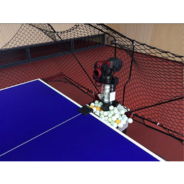 双蛇乒乓球发球机厂家-自动乒乓球发球机批发