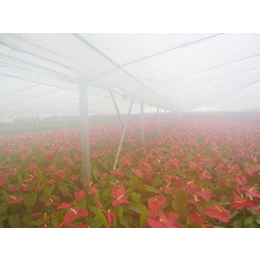 江苏扬州热带植物观光园人造雾机正雄科技 促销厂家