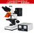 供应广州粤显 实验室落射荧光显微镜L1501工业荧光显微镜缩略图1