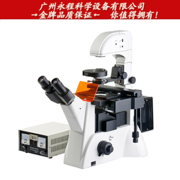 供应广州粤显 XDY-2 倒置荧光显微镜细胞*微生物显微镜