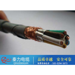 西安控制电缆-控制电缆型号-西安电缆厂(****商家)