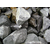 石灰石加工-池州琅河精品钙业(在线咨询)-石灰石缩略图1