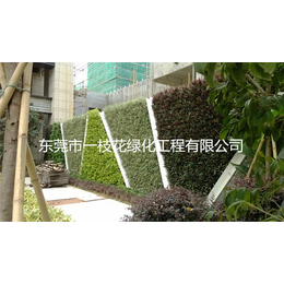 深圳室外绿化墙-一枝花绿化工程公司-室外绿化墙工程承包