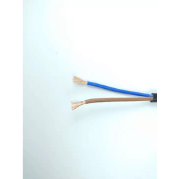 广州电缆机械设备外连接*电缆RVV