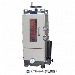 二次加压成型仪 天津科器SJY30-60T高压型等静压机