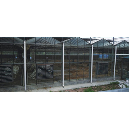 玻璃温室大棚-鑫凯农业价格透明-玻璃温室大棚工程