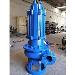 潜水渣浆泵生产厂家-福州潜水渣浆泵-潜水渣浆泵型号