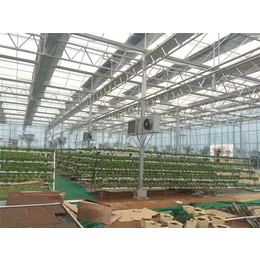 玻璃大棚尺寸-青州瀚洋农业(在线咨询)-玻璃大棚