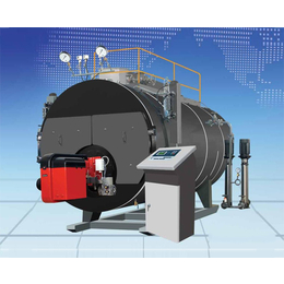 8吨卧式蒸汽锅炉-合肥卧式蒸汽锅炉-尚亿 多年技术经验