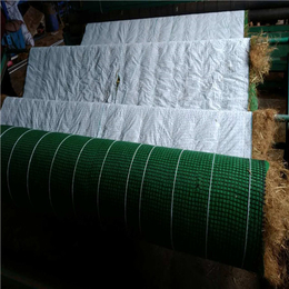 *冲生物毯施工(图)-*冲生物毯聚酯纤维-*冲生物毯