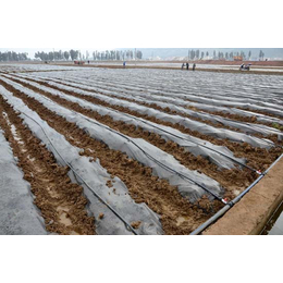 湖北水肥一体化厂家-武汉欣农科技