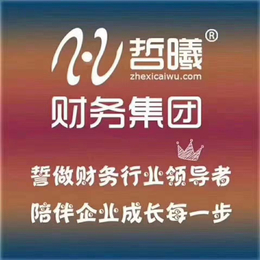 公司注册代理记账注销变更税务报道无地域注册缩略图