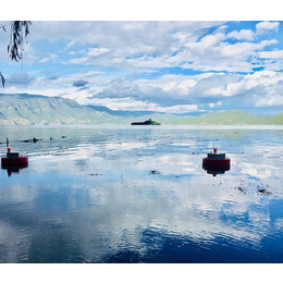 浮标水质监测 水质监测浮标 多参数水质监测