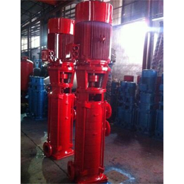 丹东自来水立式增压泵-新楮泉水泵厂-自来水立式增压泵参数