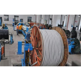 世达电缆电线批发(图)-扬州铝合金电缆-铝合金电缆