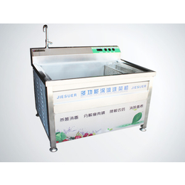 洁速尔(图)-全自动洗菜机品牌-神农架林区全自动洗菜机