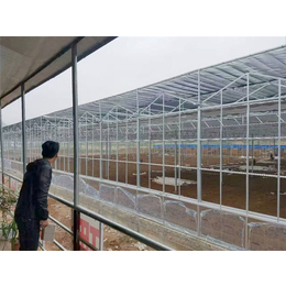 连栋智能温室-青州瀚洋农业(在线咨询)-智能温室
