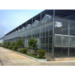 玻璃大棚价格优惠-雄鼎农业品质保证-商丘玻璃大棚
