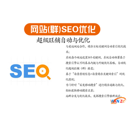 公司网站seo-网站seo-安徽万泽seo优化(查看)