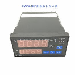 厂家销售数字显示仪表PY500智能数字压力表