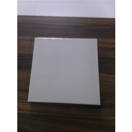 广东惠州耐酸瓷板 耐酸瓷砖 耐酸砖价格A