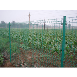 围栏网生产厂家(在线咨询)-黄石围栏网-校园围栏网