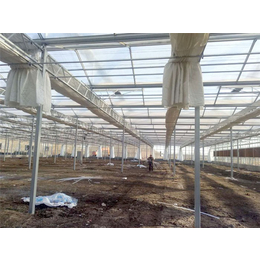 玻璃温室-青州瀚洋农业-玻璃温室骨架