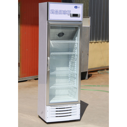 沈阳药品标准柜-盛世凯迪制冷设备制造-药品标准柜价格